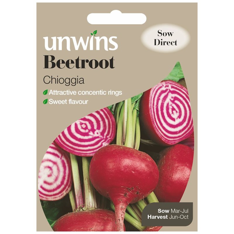 Beetroot Chioggia