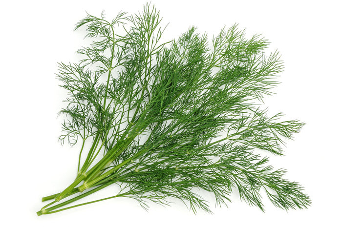 Dill