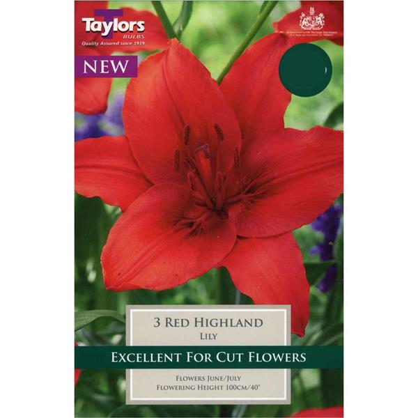 Lily Red Highland