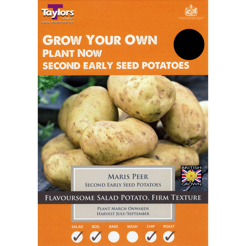 Seed Potato MARIS PIPER