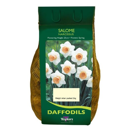 NARCISSUS SALOME CARRI PACK 1.5KG