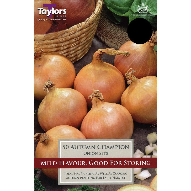 ONION AUTUMN CHAMPION X50