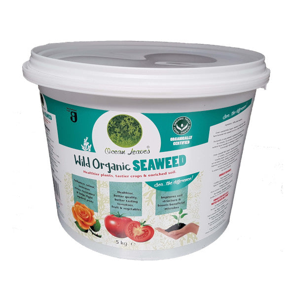 Wild Organic Seaweed 5Kg Bucket