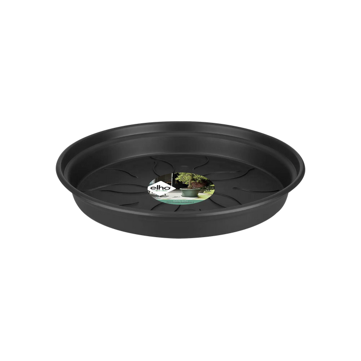 Green Basics Saucer 65cm Living Black