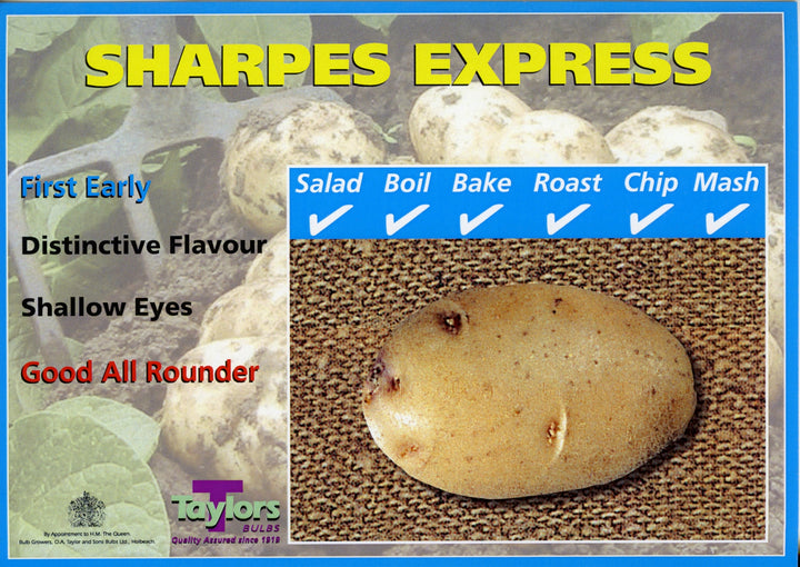 SHARPE S EXPRESS SEED POTATOES