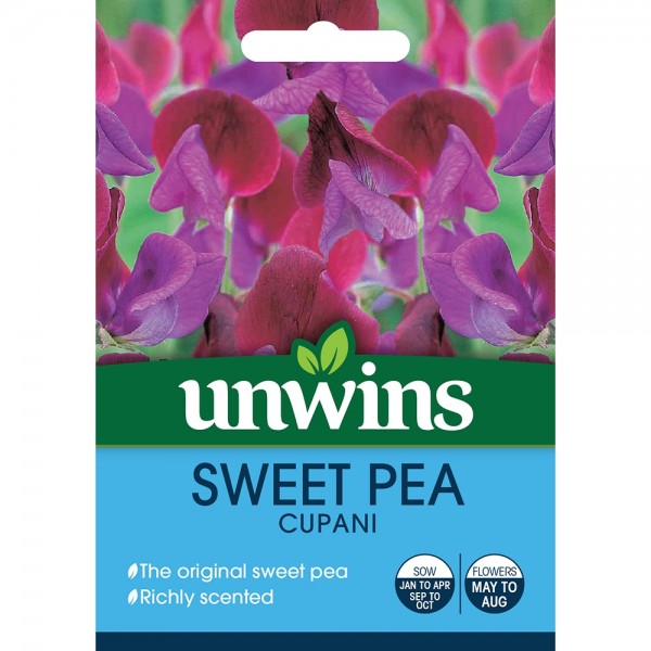 Sweet Pea Cupani