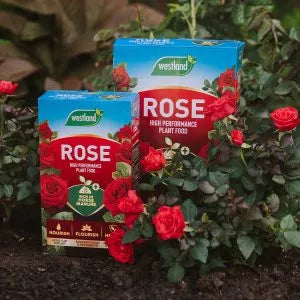 Westland Rose Food Enriched Horse Manure