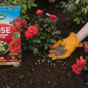 Westland Rose Food Enriched Horse Manure