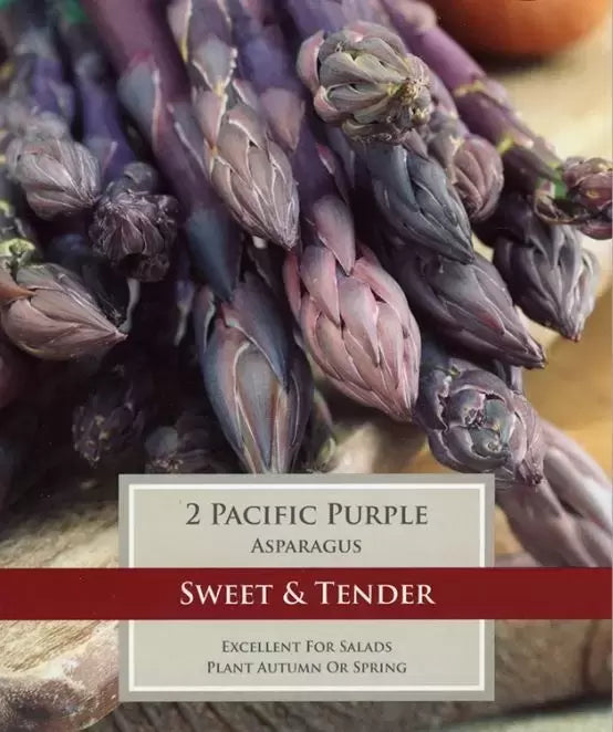 PRE PACKS ASPARAGUS PACIFIC PURPLE 2