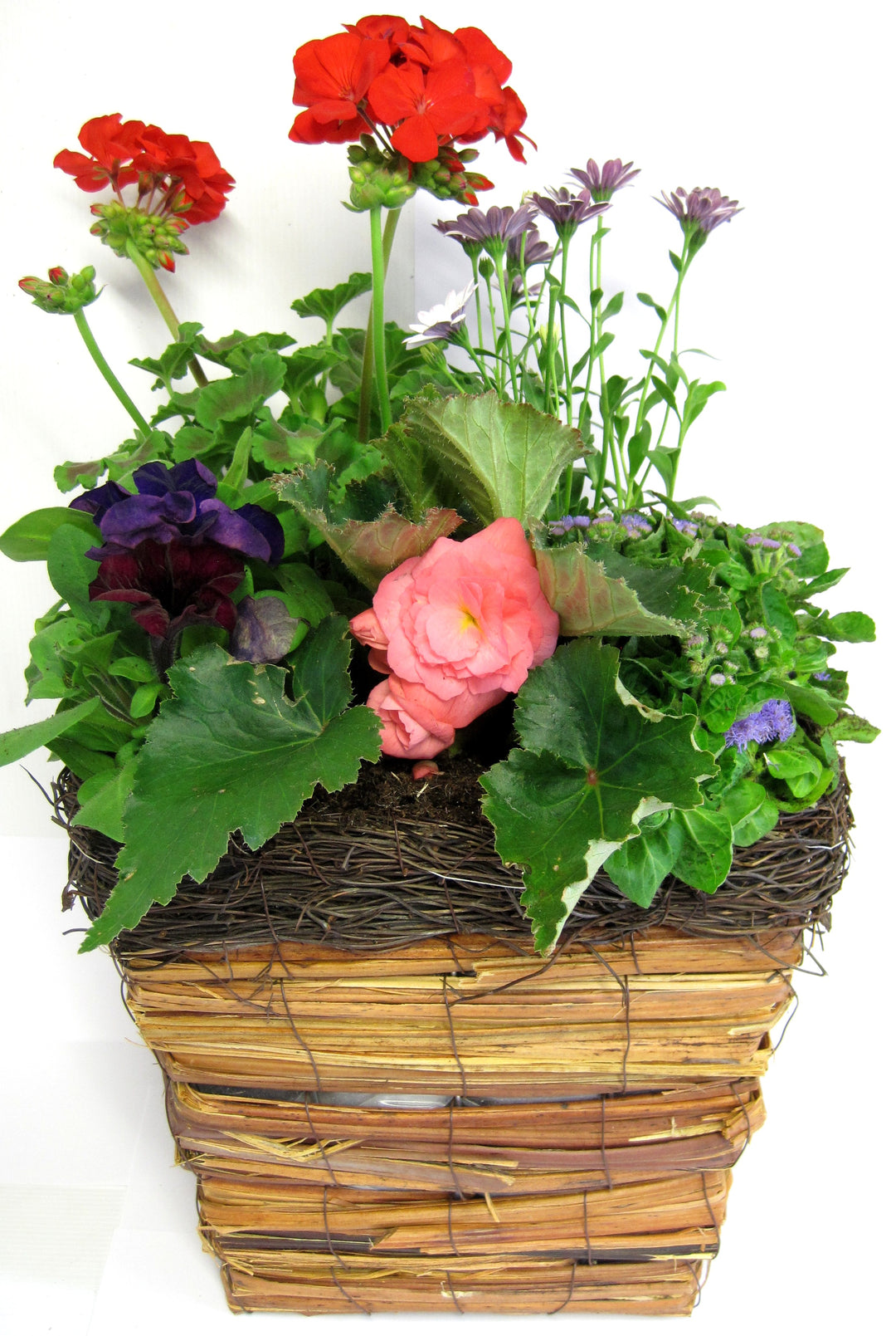 Oval Planter