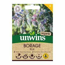 Herb Borage Blue (Organic)