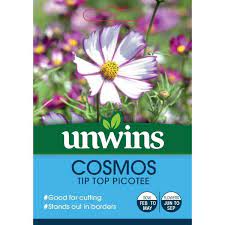 Cosmos Tip Top Picotee