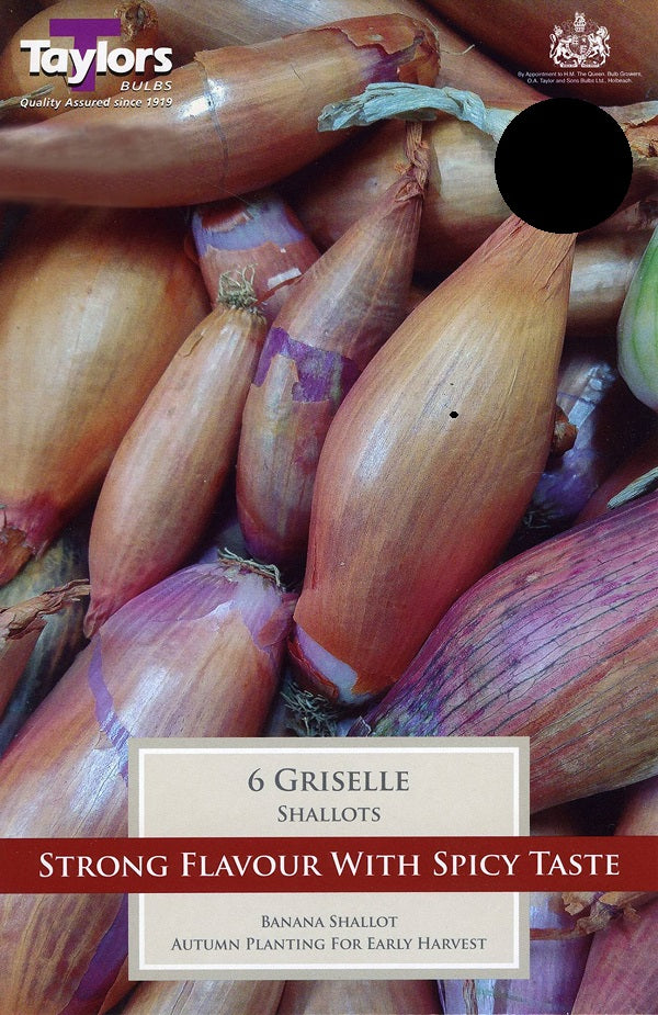 SHALLOT GRISELLE