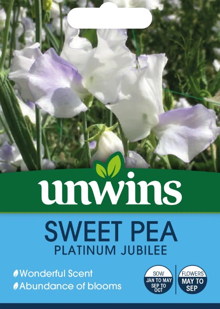 Sweet Pea Platinum Jubilee