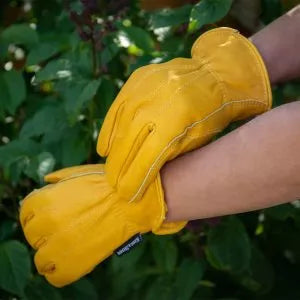 Luxury Leather Gloves KS Ladies S