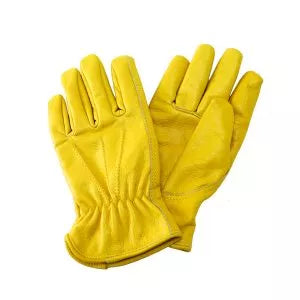 Luxury Leather Gloves KS Ladies S